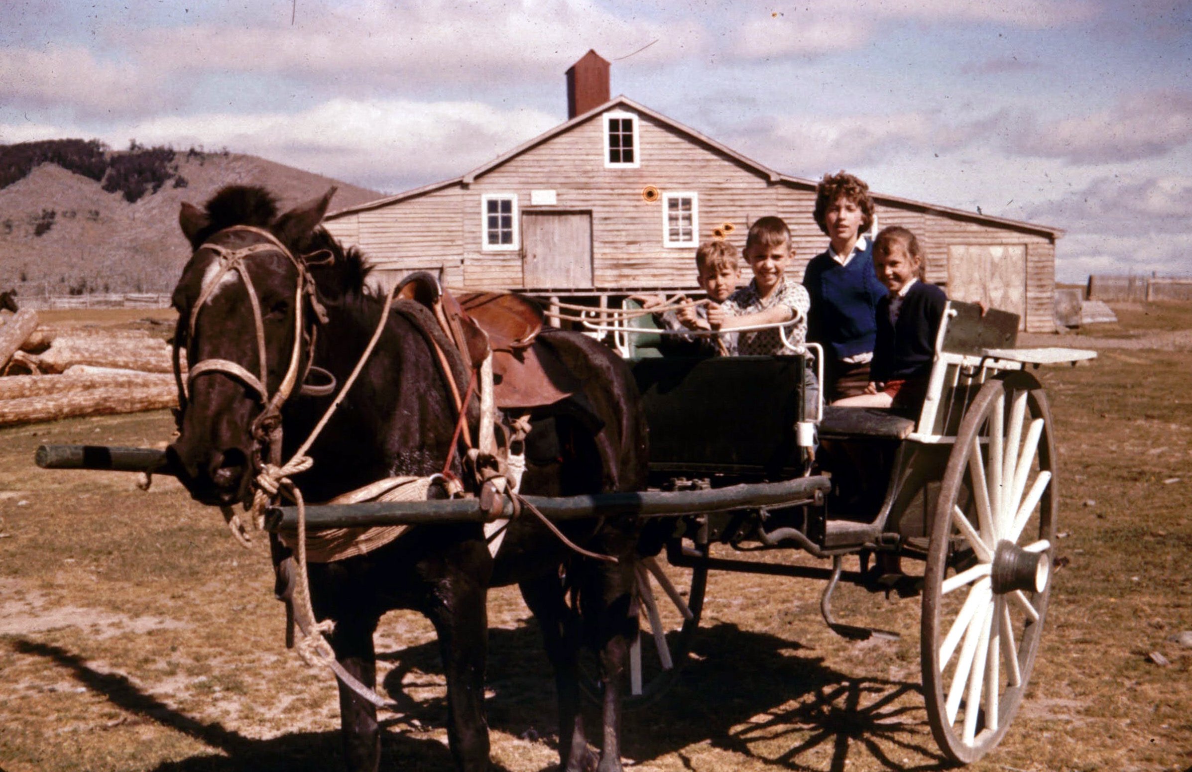 Antonio Kusanović Senković modernizing Estancia Cerro Negro in Patagonia, expanding ranch with Australian cattle breeds, machinery, and innovative practices.
