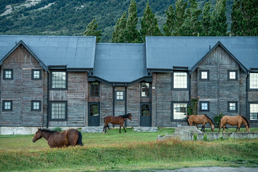 CABALLOS-FACHADA-HOTEL-PASTOREO-2025-08615