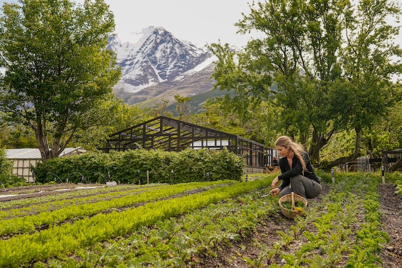 Copia de Foto Huerta