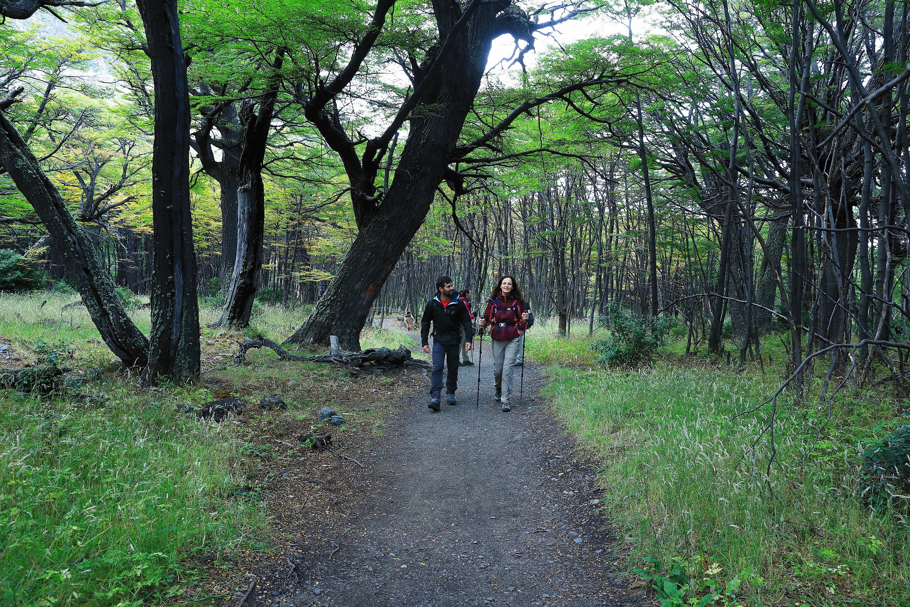 bototos trekking torres del paine