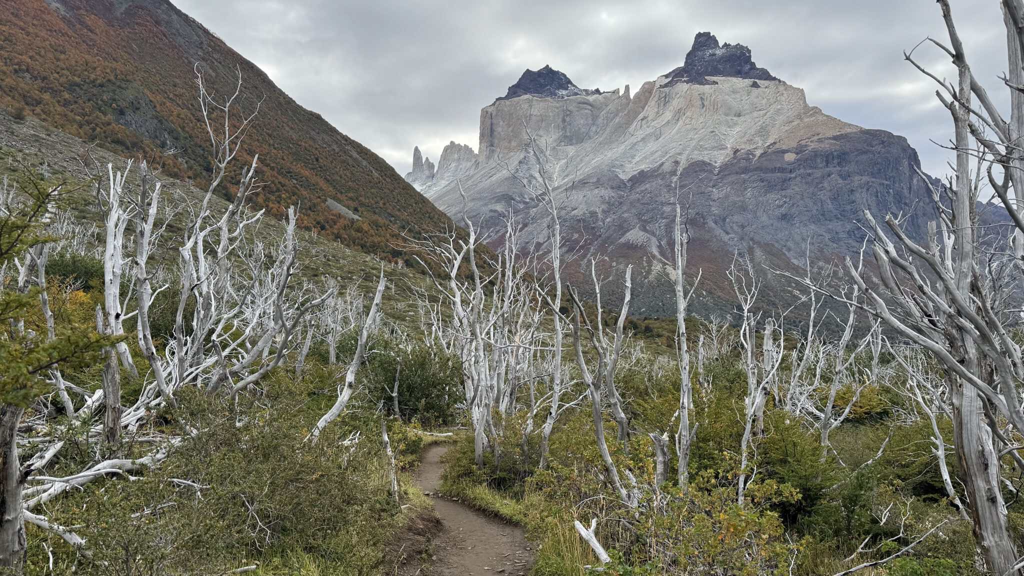 Torres del Paine National Park