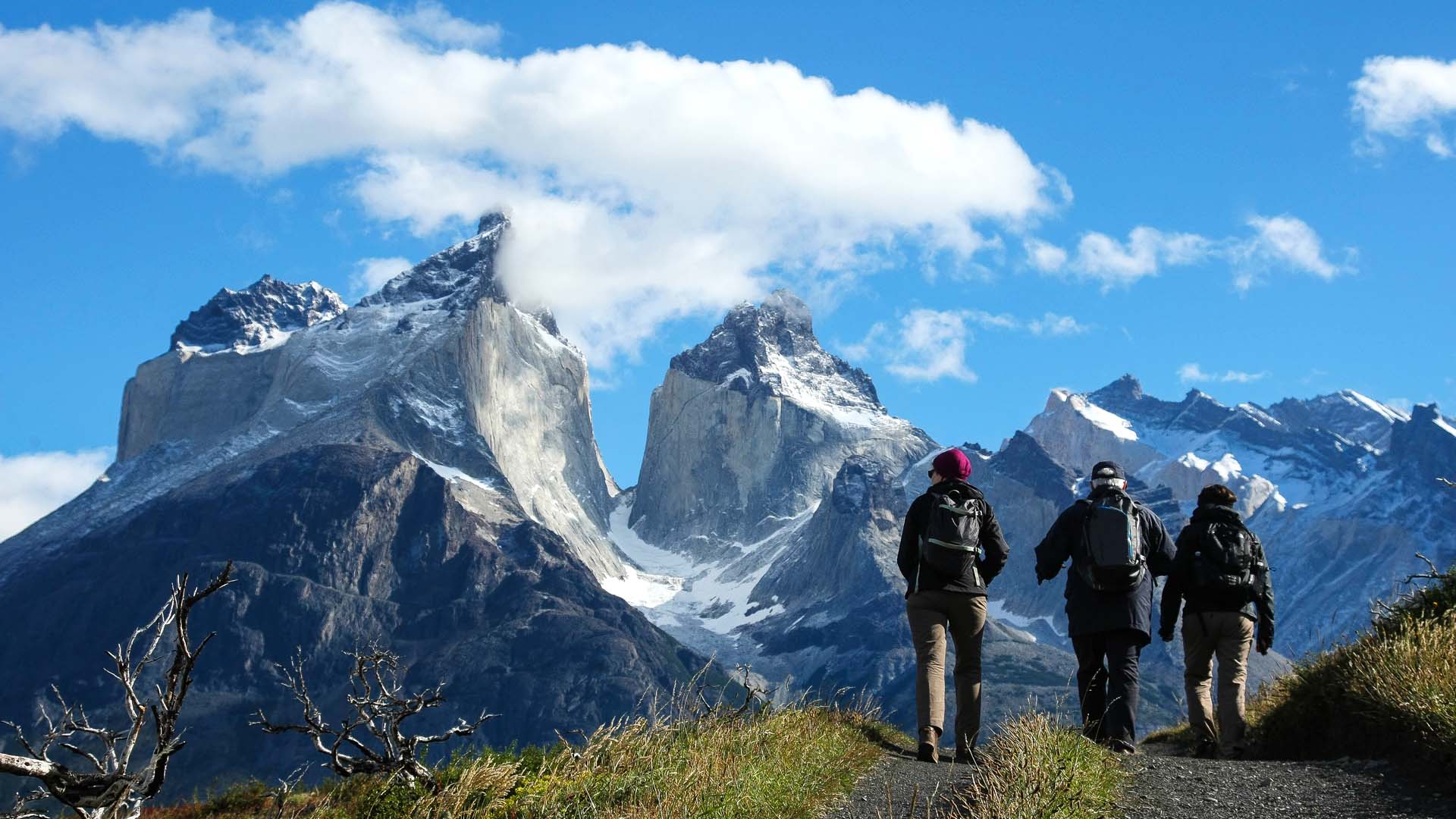 Contamos con cuatro tipos de actividades: excursiones a pie, cabalgatas, experiencias culturales y excursiones que combinan traslados en van, cada una diseñada para entregarte una jornada llena de lo mejor de la Patagonia.