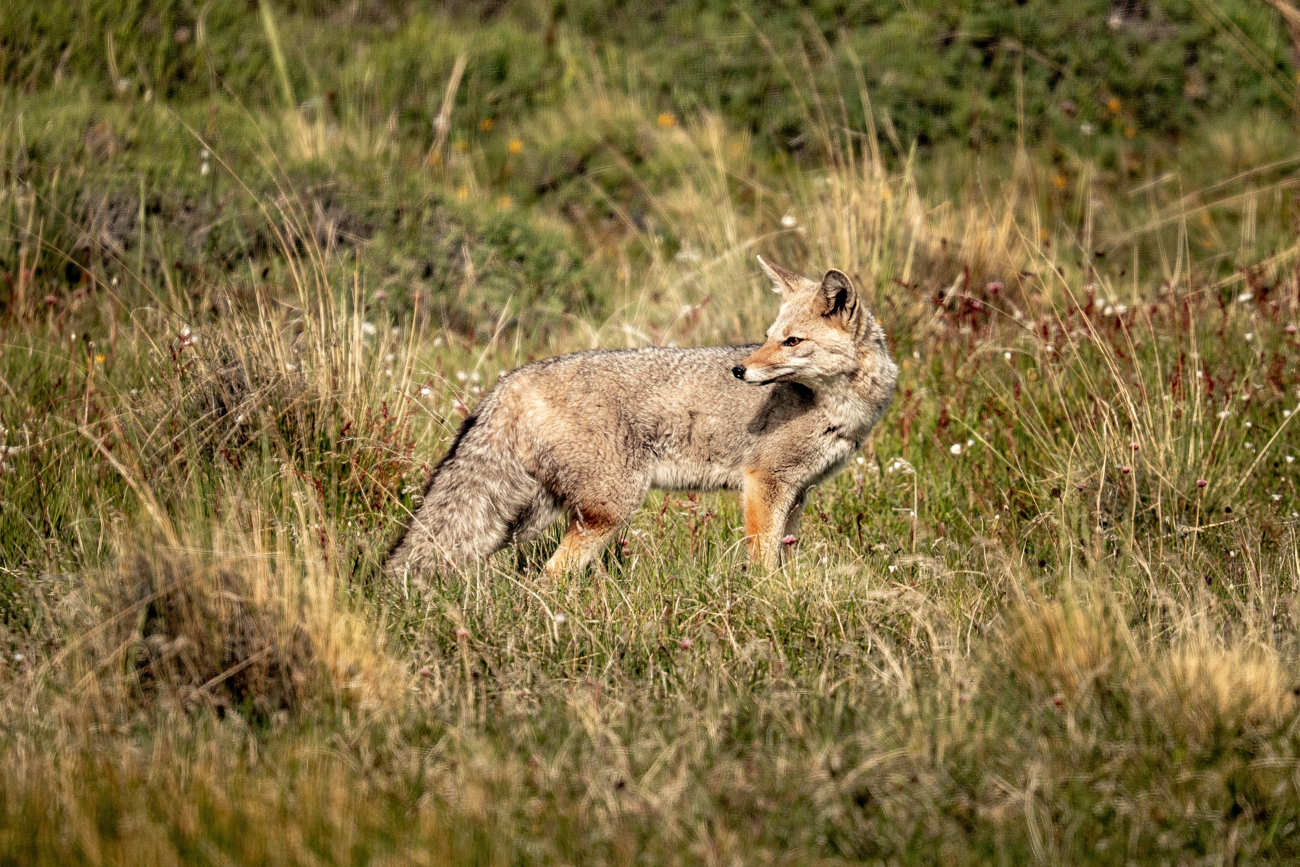 How to be a responsible tourist in Torres del Paine