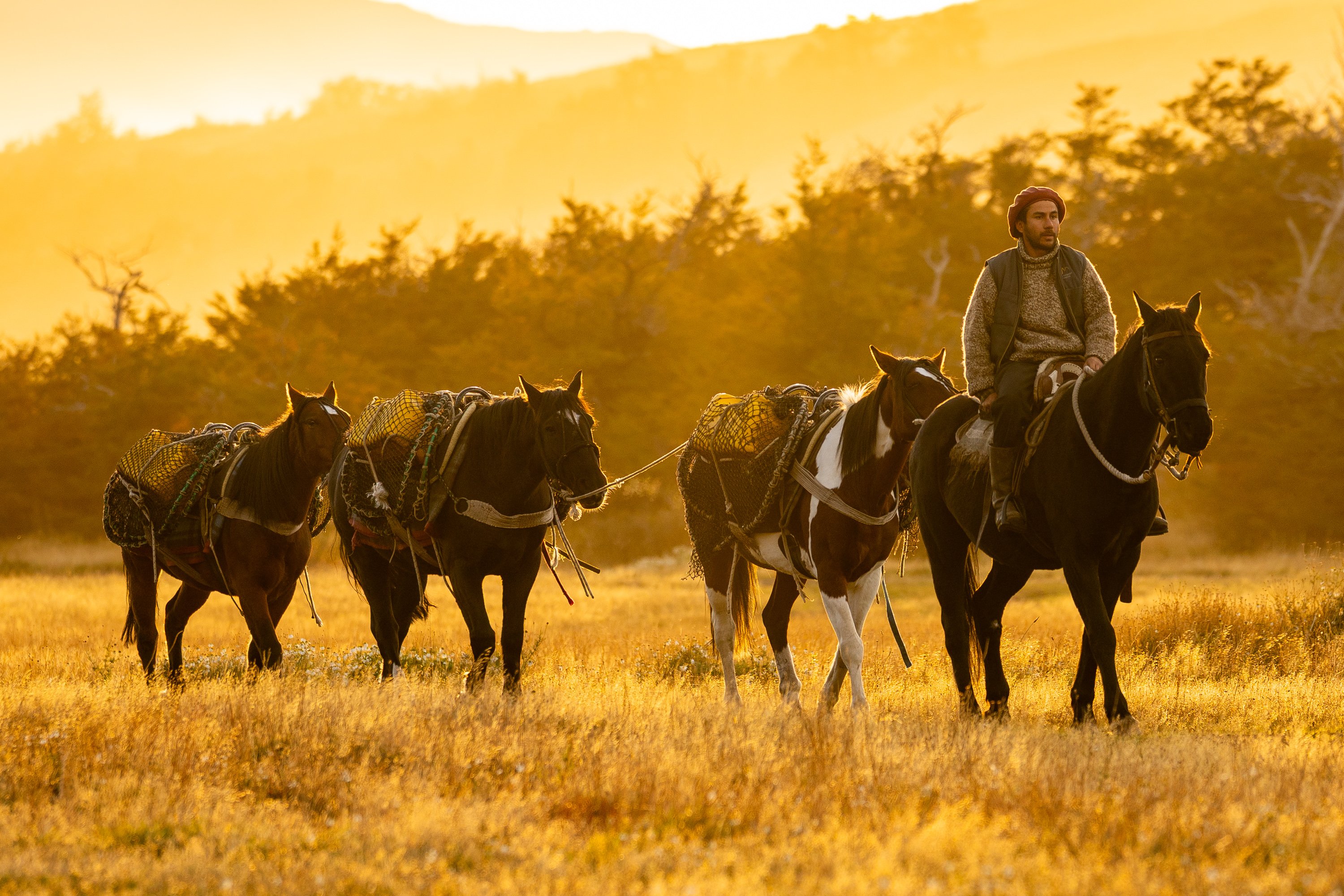 Cabalgatas en Torres del Paine para jinetes experimentados, incluyendo la Base Torres Viewpoint Ride y el Encantado Valley Ride. Paseos a caballo por el Paso Los Vientos, el río Ascencio y el sector Chileno, con vistas únicas de la Patagonia. Excursión de día completo de 24 km hacia el Circuito O, atravesando pampas, la Laguna Azul y el sector Serón. Experiencia ecuestre inmersiva que conecta jinete y naturaleza en uno de los paisajes más remotos y espectaculares del mundo.