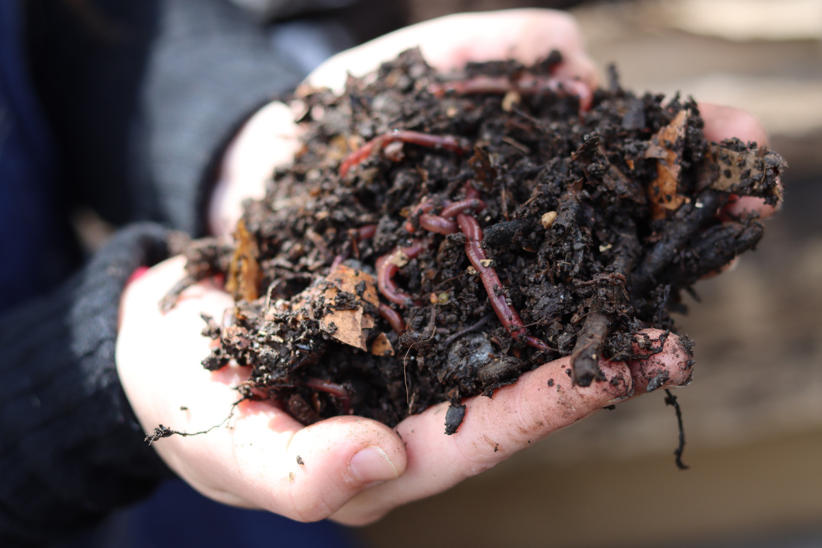Huerta Biointensiva Torres del Paine - Compost