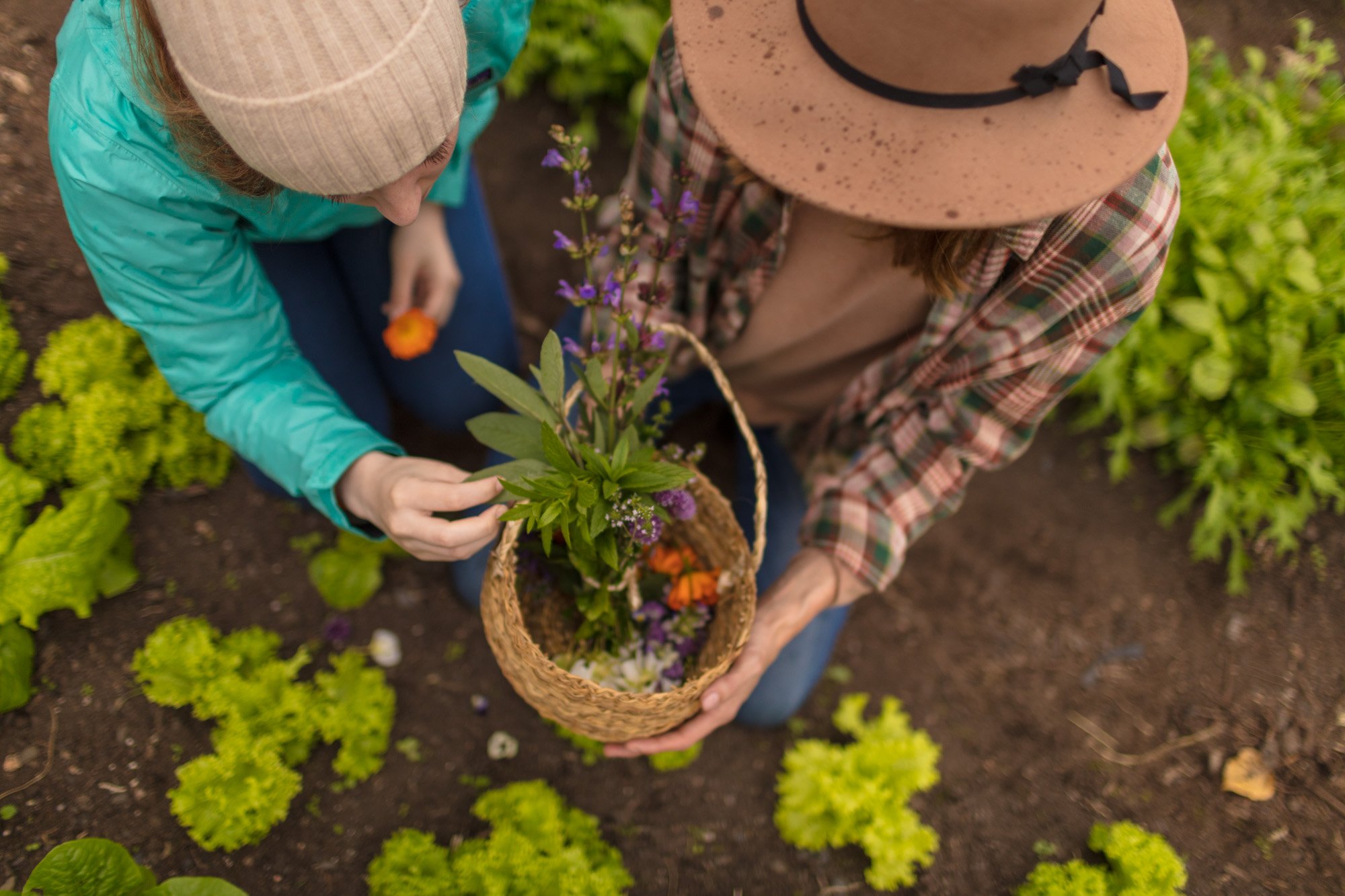 Las Torres Patagonia in Torres del Paine National Park, Chile, promoting authenticity and sustainability through conservation projects, clean energy initiatives, reforestation, and community education for responsible tourism