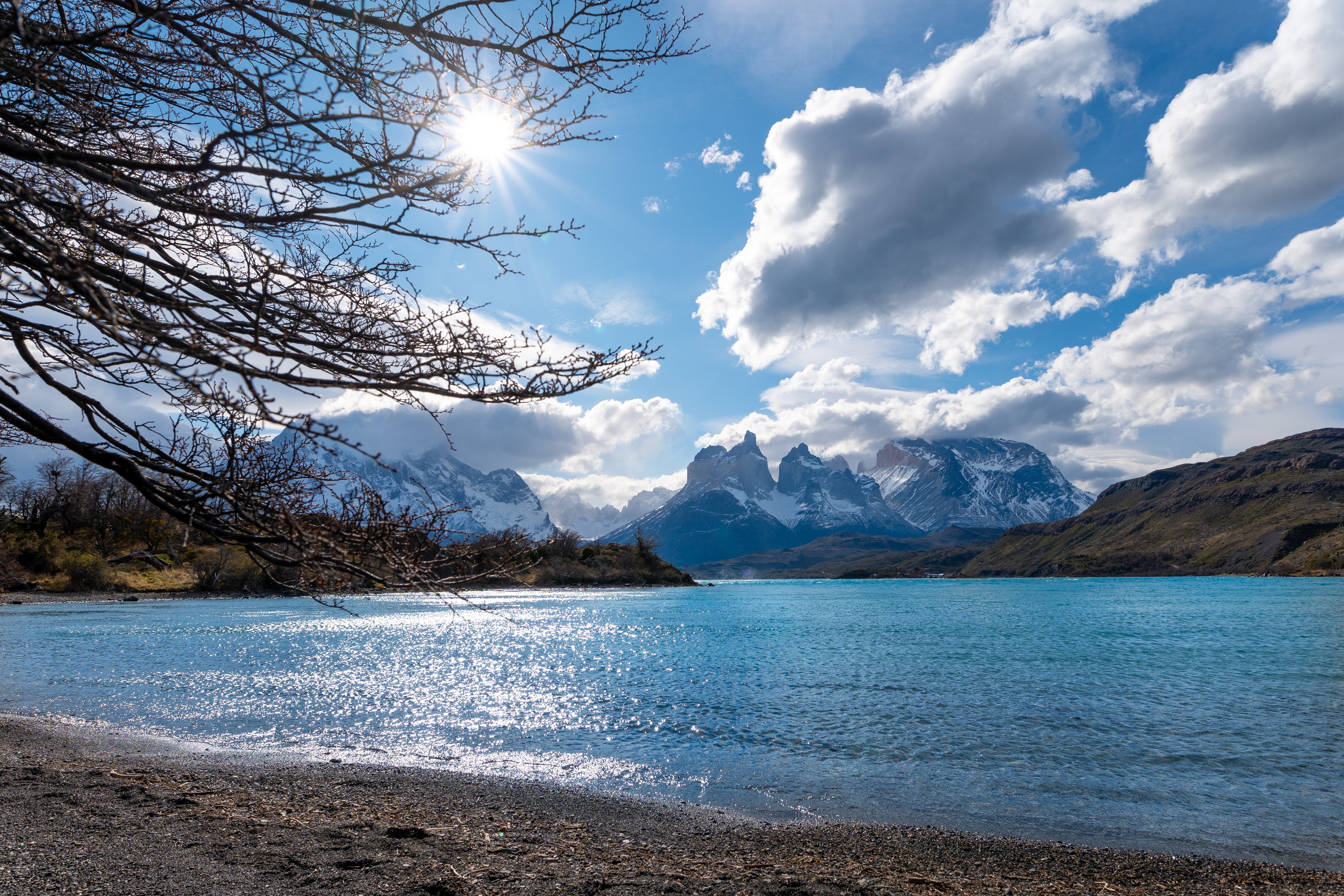 Full Paine van tour from Hotel Las Torres in Torres del Paine National Park, guided excursion with bilingual guide, ideal for families and guests with limited mobility, offering scenic views and cultural experiences.