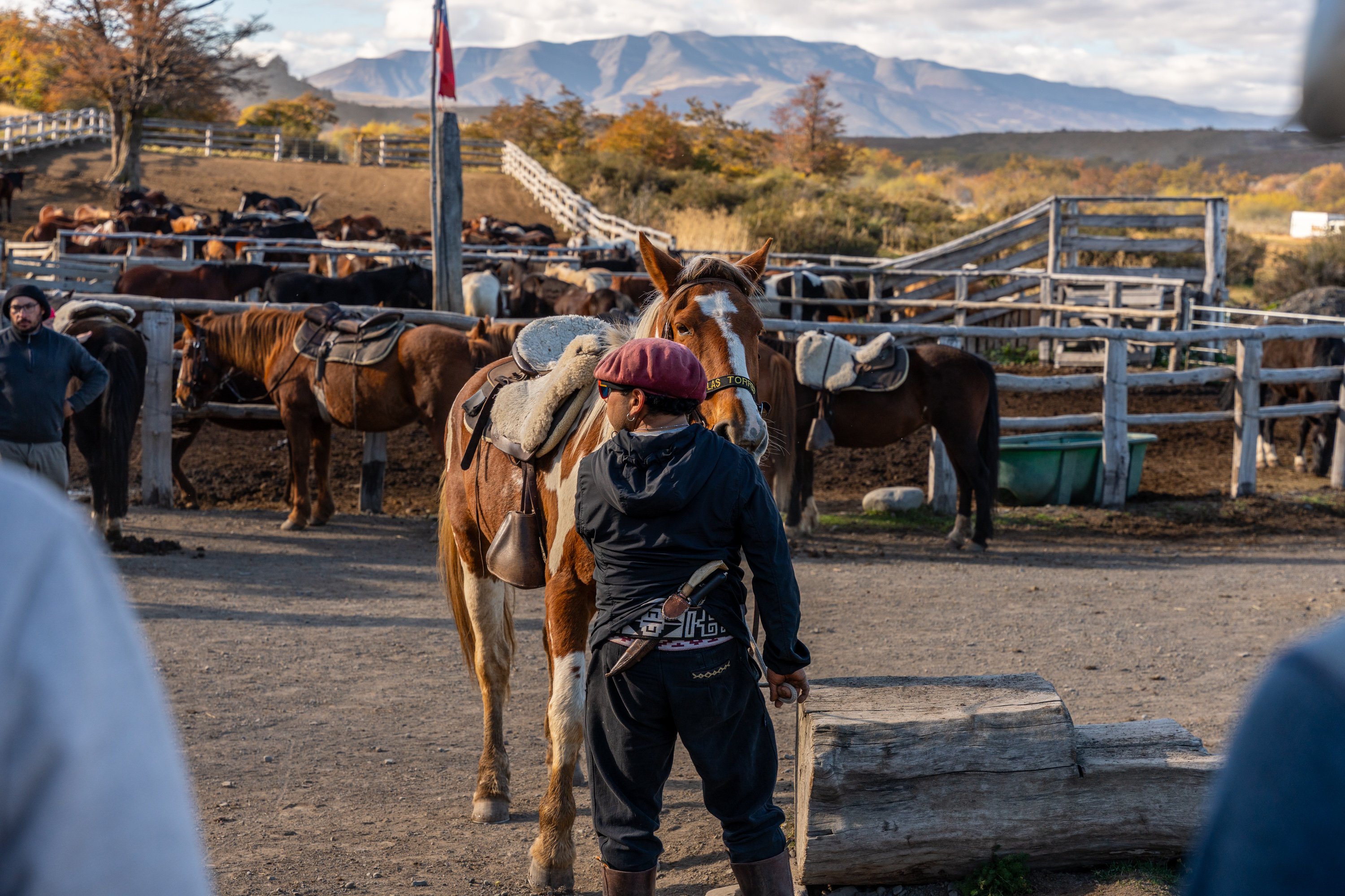 Cabalgata desde las pesebreras del Hotel Las Torres hacia el Valle del Ascencio en Torres del Paine.
