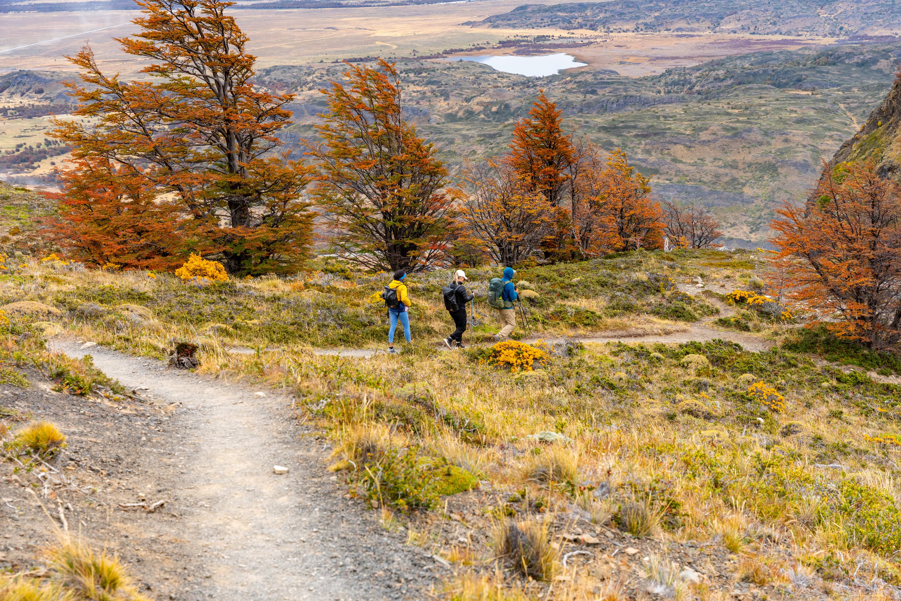 hiking, representing the diverse cardiovascular training activities needed to gradually build endurance for the physical challenges of the W Circuit in Patagonia.