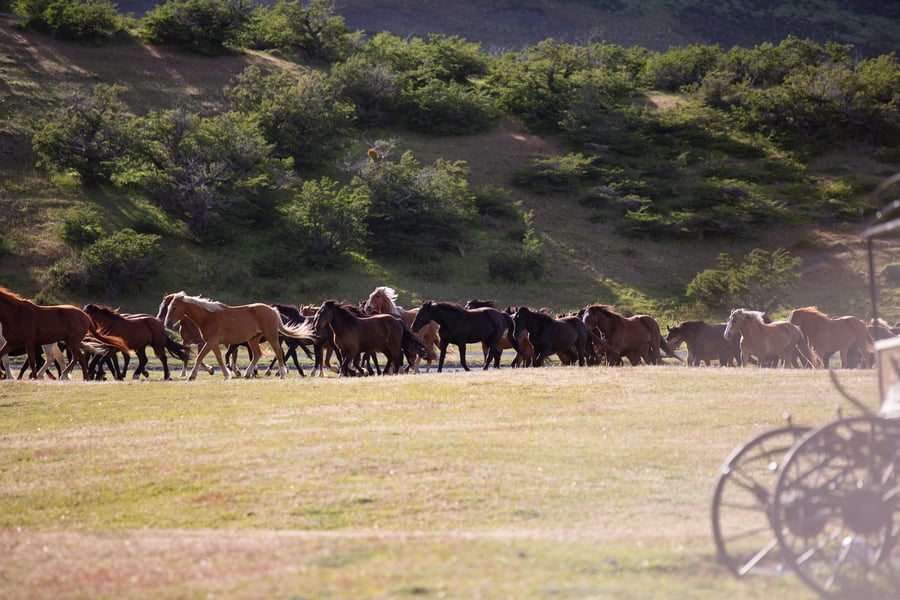 Cabalgatas en Torres del Paine