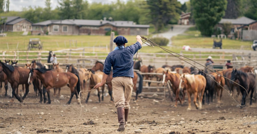 Horseback riding through the Patagonian steppe with local baqueanos—authentic equestrian experience in Torres del Paine National Park.