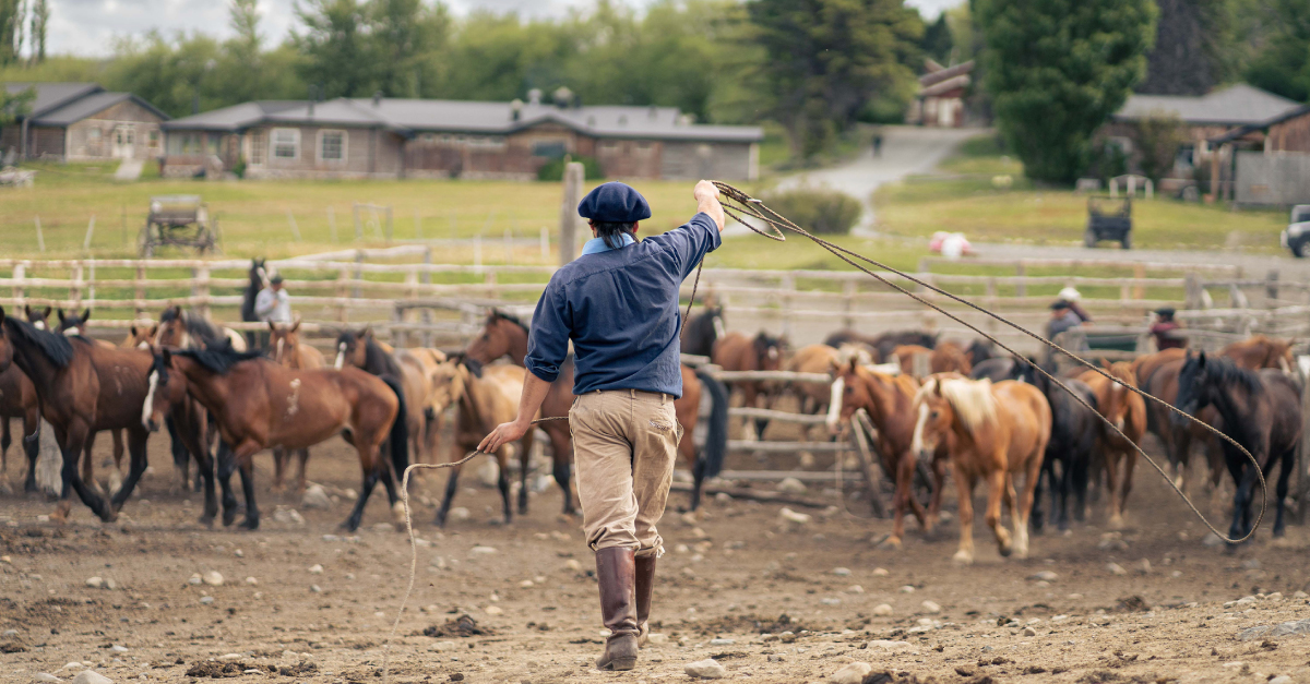 Cabalgata guiada por la estepa patagónica con baqueanos locales—aventura ecuestre auténtica en Torres del Paine, Chile.