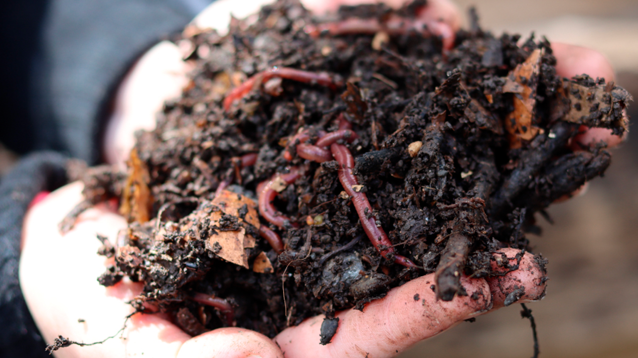 2.676 kilogramos de compost producidos en Torres del Paine