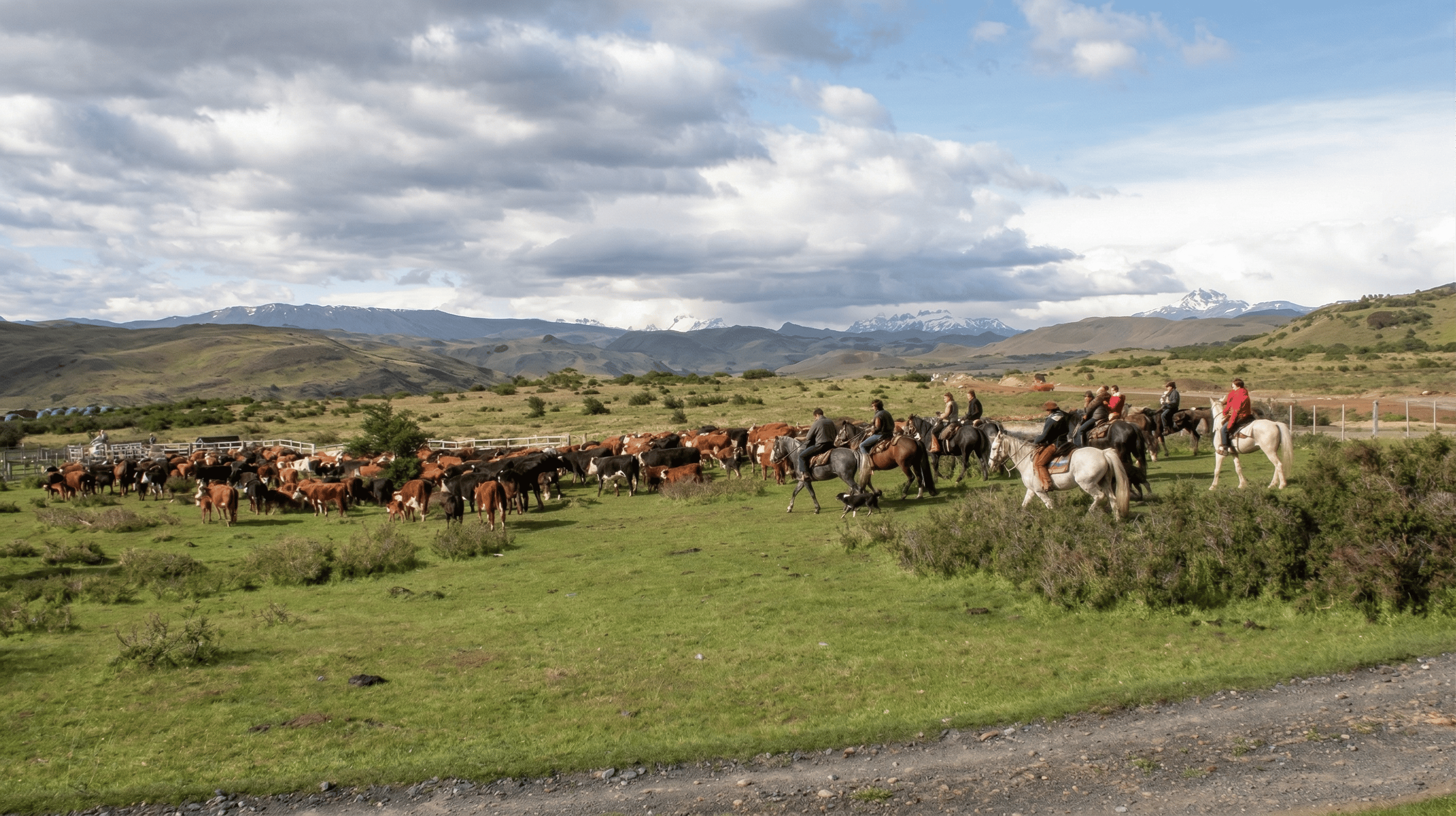Kusanović family’s Last Roundup at Estancia Cerro Paine, removing final cattle herd, honoring Patagonian ranching legacy and opening land to tourism near Torres del Paine.