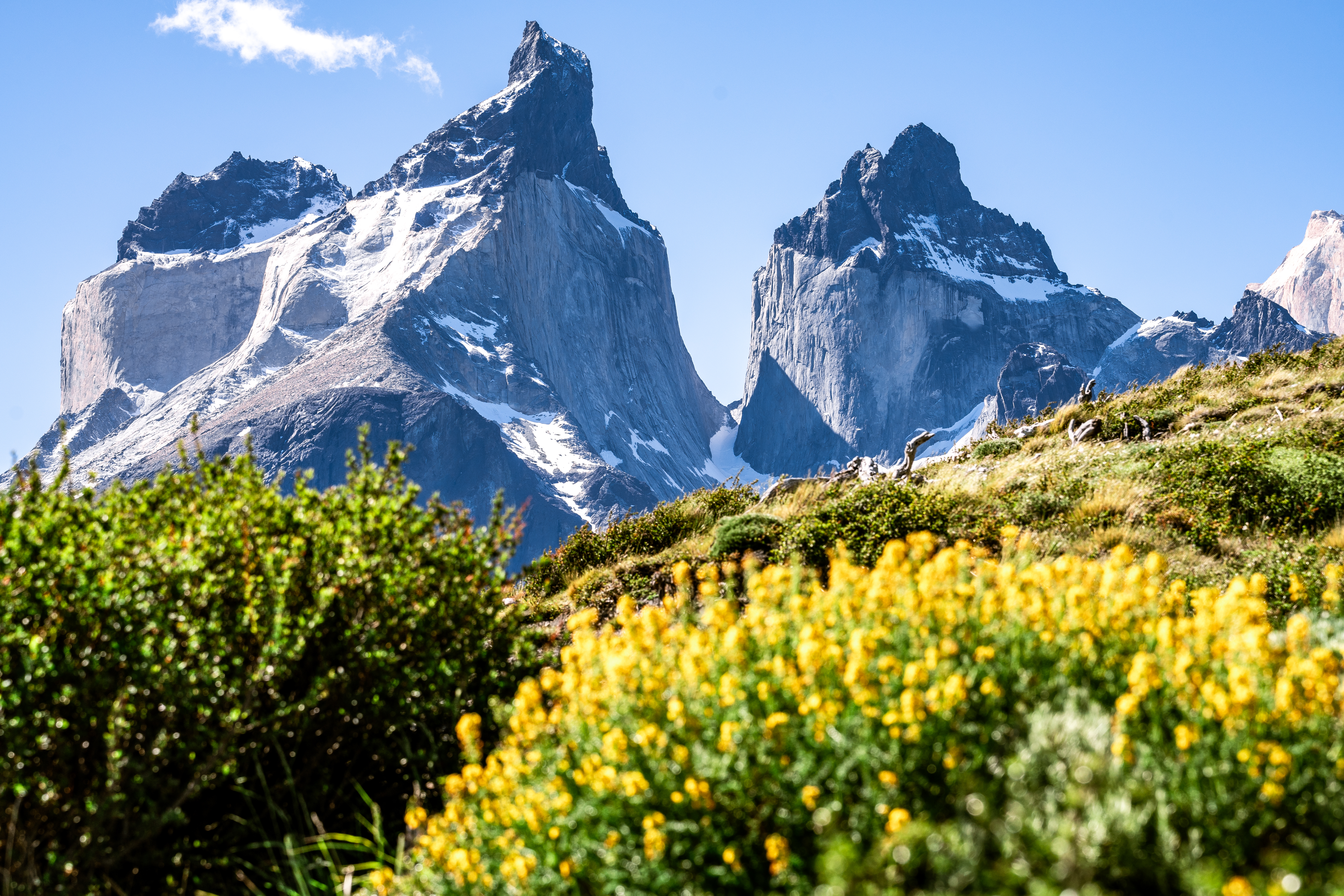 Patagonia chilena en verano: ¿qué esperar entre noviembre y marzo?