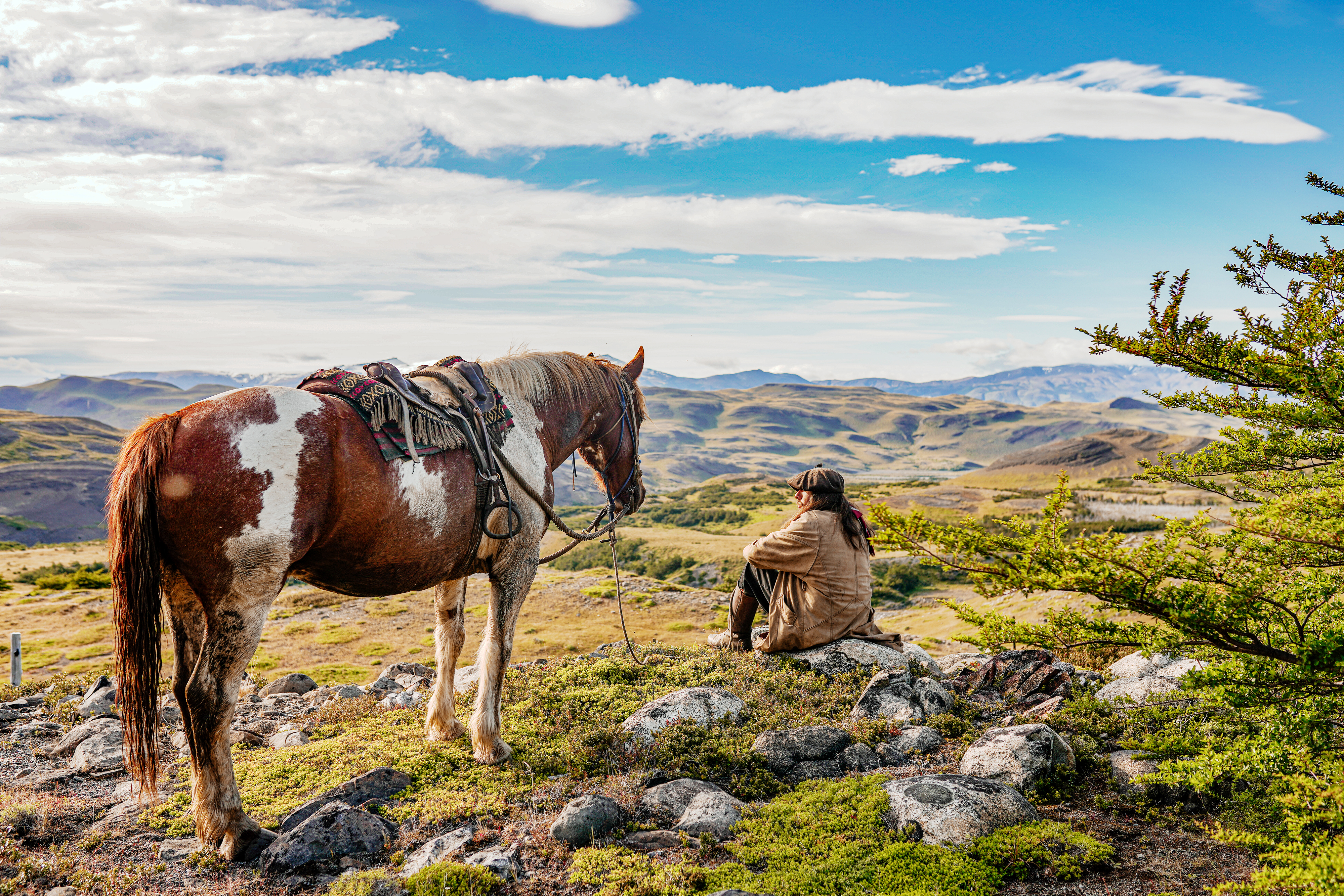 Gaucho Baqueano Patagonia
